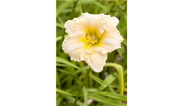 Gartenbaumschule Becker