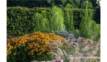 Gartenbaumschule Becker