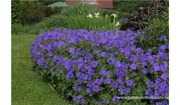 Gartenbaumschule Becker