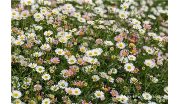Gartenbaumschule Becker