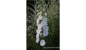 Gartenbaumschule Becker