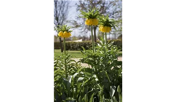 Gartenbaumschule Becker