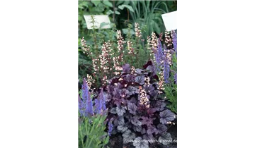 Gartenbaumschule Becker