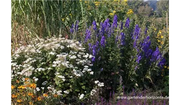 Gartenbaumschule Becker