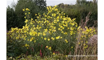 Gartenbaumschule Becker