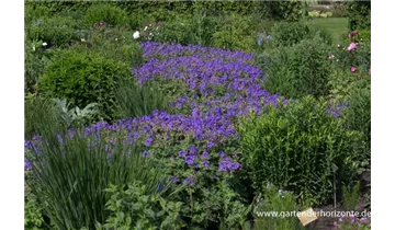 Gartenbaumschule Becker