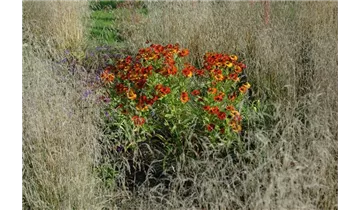 Gartenbaumschule Becker