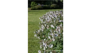 Gartenbaumschule Becker