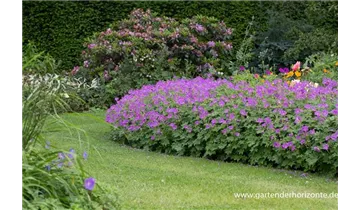 Gartenbaumschule Becker