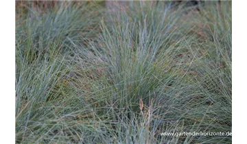 Gartenbaumschule Becker