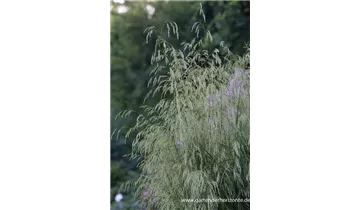 Gartenbaumschule Becker