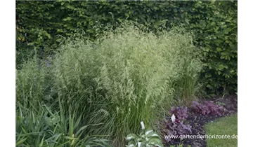 Gartenbaumschule Becker