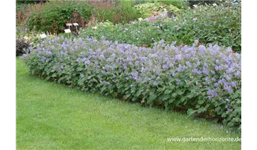 Gartenbaumschule Becker