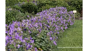 Gartenbaumschule Becker