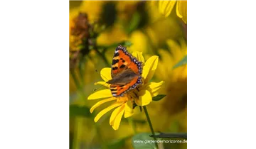 Gartenbaumschule Becker