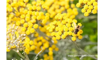 Gartenbaumschule Becker