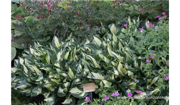 Gartenbaumschule Becker