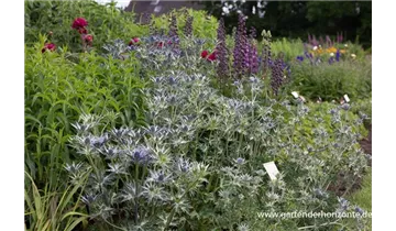 Gartenbaumschule Becker