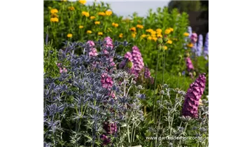 Gartenbaumschule Becker
