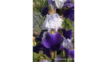 Gartenbaumschule Becker