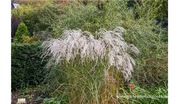 Gartenbaumschule Becker