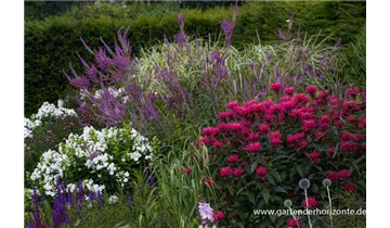 Gartenbaumschule Becker