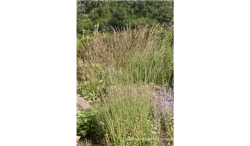 Gartenbaumschule Becker