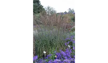 Gartenbaumschule Becker