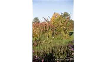 Gartenbaumschule Becker