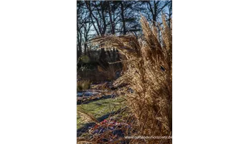 Gartenbaumschule Becker