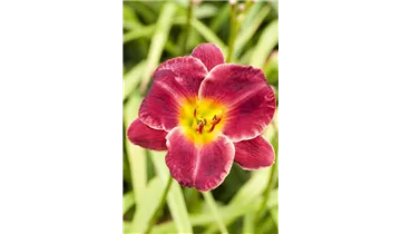 Gartenbaumschule Becker