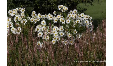 Gartenbaumschule Becker