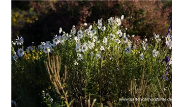 Gartenbaumschule Becker