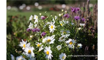 Gartenbaumschule Becker
