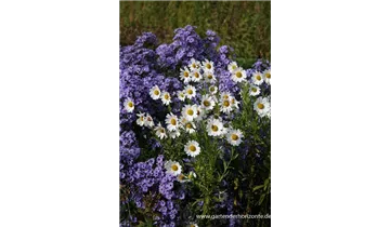 Gartenbaumschule Becker