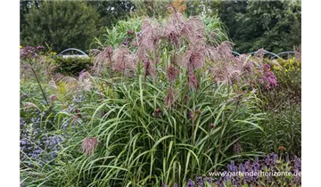 Gartenbaumschule Becker