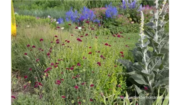 Gartenbaumschule Becker