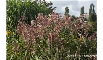 Gartenbaumschule Becker