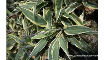 Gartenbaumschule Becker