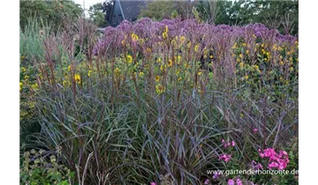 Gartenbaumschule Becker