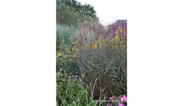 Gartenbaumschule Becker