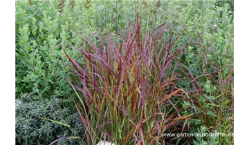 Gartenbaumschule Becker