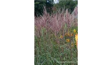 Gartenbaumschule Becker