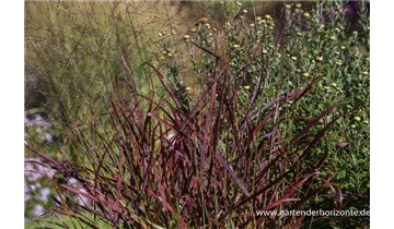 Gartenbaumschule Becker
