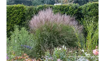 Gartenbaumschule Becker