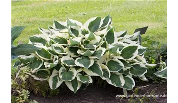 Gartenbaumschule Becker