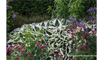 Gartenbaumschule Becker