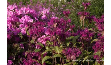 Gartenbaumschule Becker