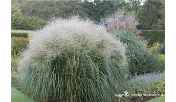 Gartenbaumschule Becker