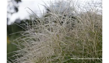 Gartenbaumschule Becker